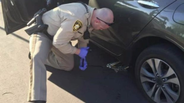 Woman Nervous About How Cop Is Acting, Then She Sees What’s Behind Her - picture 3