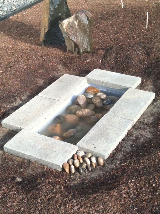 Woman Plants A Rubbermaid Storage Container In Her Backyard. The Reason Why Will Astound You! - picture 3