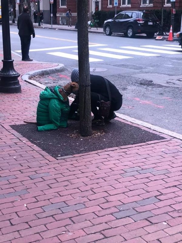 Woman puts jacket over her dog to keep him warm while he waits outside, had no clue her actions were being captured - picture 2