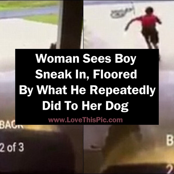 Woman Sees Boy Sneak In, Floored By What He Repeatedly Did To Her Dog