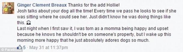 Woman Sees Boy Sneak In, Floored By What He Repeatedly Did To Her Dog - picture 3