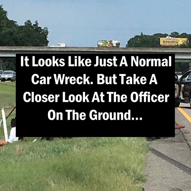 Woman Snaps Pic Of Terrible Wreck, Floored At What’s Hidden In Plain Sight