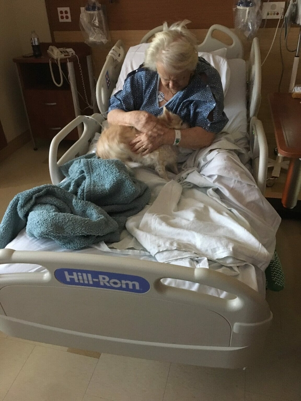 Woman surprises her grandma with a very sweet gift, makes her day - picture 4