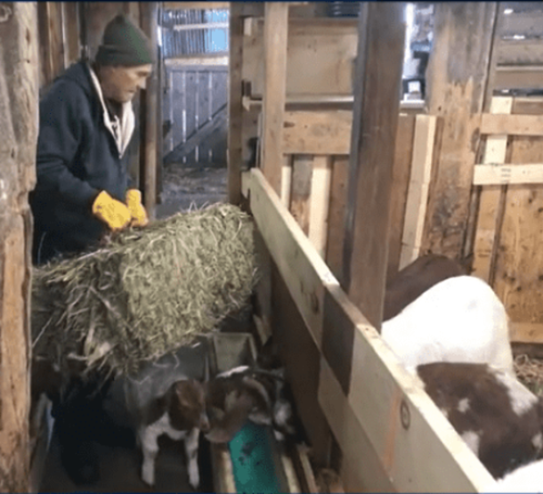 Woman surprises homeless man with generous job offer after talking to him, now working at farm - picture 4