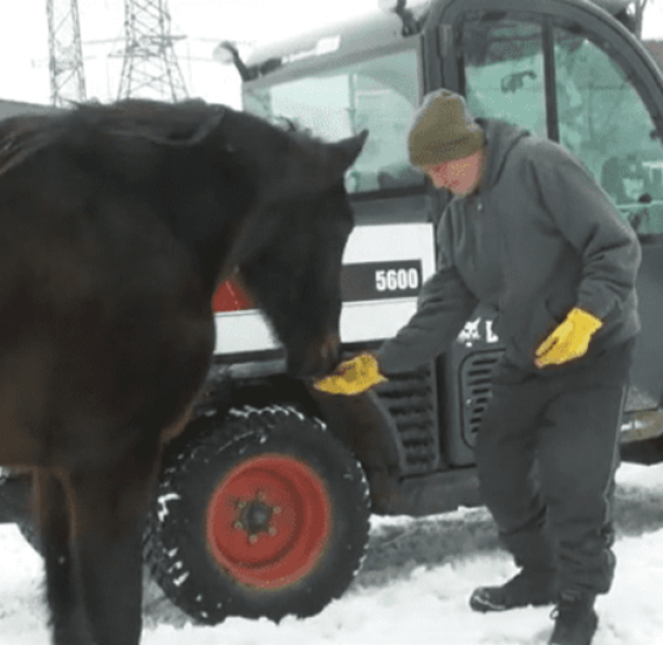Woman surprises homeless man with generous job offer after talking to him, now working at farm - picture 5
