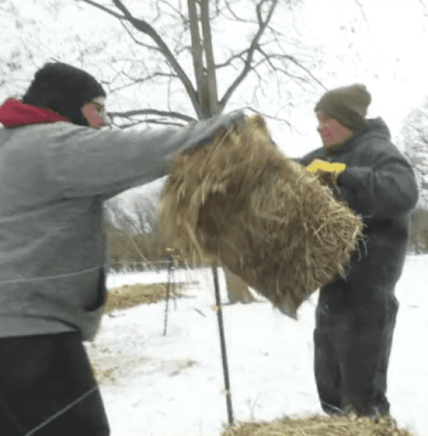 Woman surprises homeless man with generous job offer after talking to him, now working at farm - picture 9