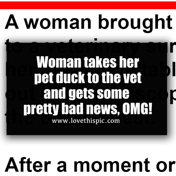 Woman takes her pet duck to the vet and gets some pretty bad news, OMG!