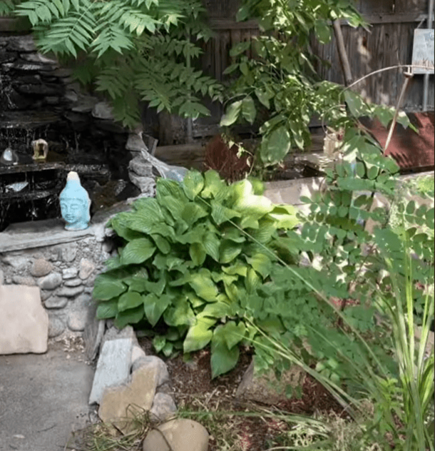 Woman turns her parent's SHED into a tiny home in and lives rent free! Take a look inside! - picture 3
