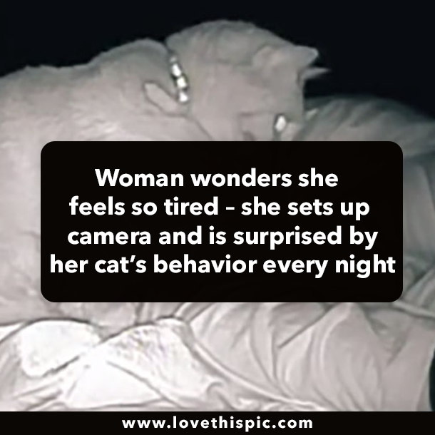 Woman wonders she feels so tired – she sets up camera and is surprised by her cat’s behavior every night