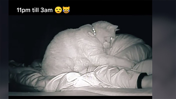 Woman wonders she feels so tired – she sets up camera and is surprised by her cat’s behavior every night - picture 3