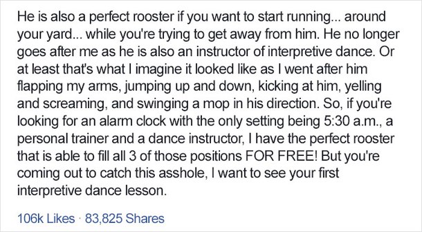 Women Places Advertisement For A Free Rooster That Has The Whole Internet In Tears! - picture 4