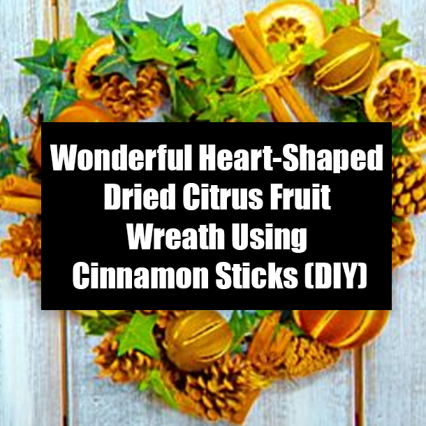 Wonderful Heart-Shaped Dried Citrus Fruit Wreath Using Cinnamon Sticks (DIY)