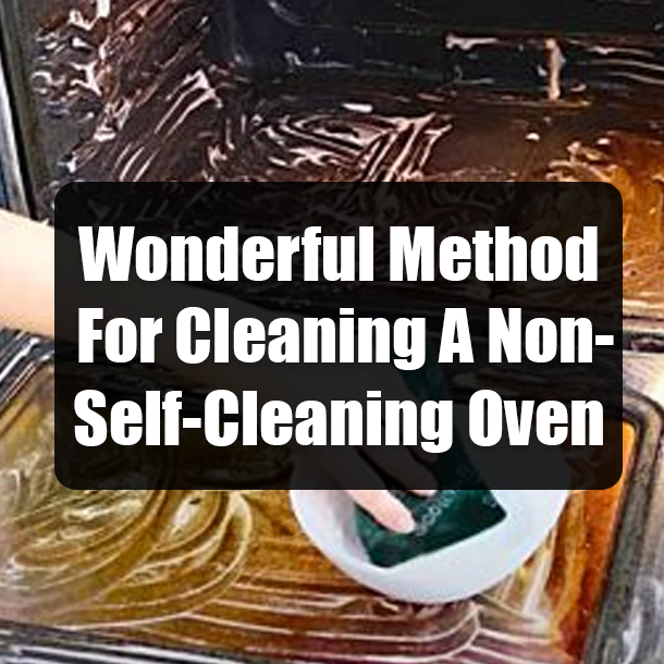 Wonderful Method For Cleaning A Non-Self-Cleaning Oven