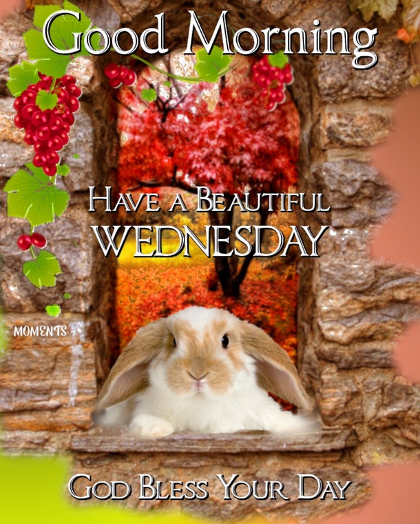 Words For Wednesday: 10 Wednesday Quotes To Keep You Inspired And Positive - picture 11