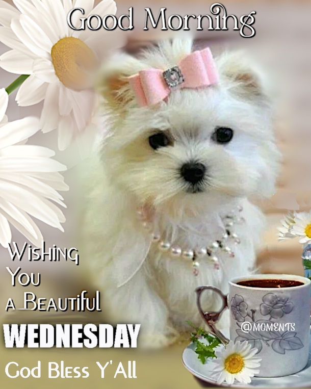 Words For Wednesday: 10 Wednesday Quotes To Keep You Inspired And Positive - picture 2
