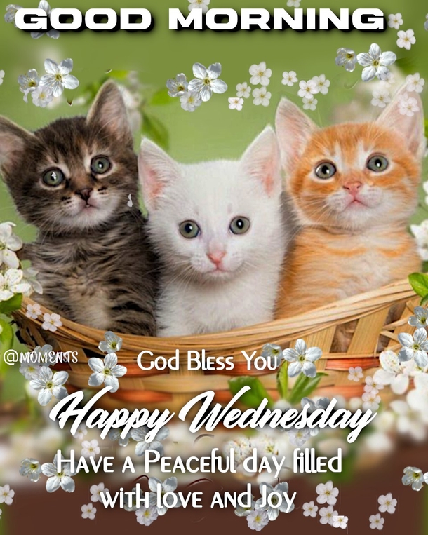 Words For Wednesday: 10 Wednesday Quotes To Keep You Inspired And Positive - picture 3