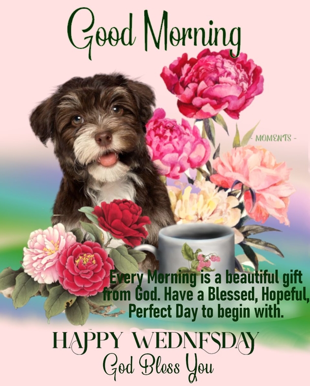 Words For Wednesday: 10 Wednesday Quotes To Keep You Inspired And Positive - picture 8