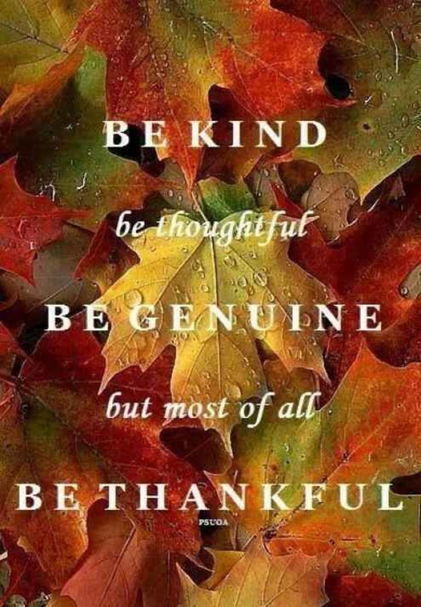 Words of Thanks: 10 Inspirational Happy Thanksgiving Quotes of 2023 to Celebrate Gratitude - picture 10