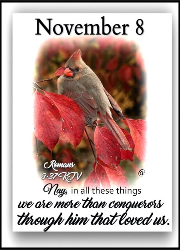 Words to Remember: Best November 8 Quotes, Images And Blessings For The Day - picture 2
