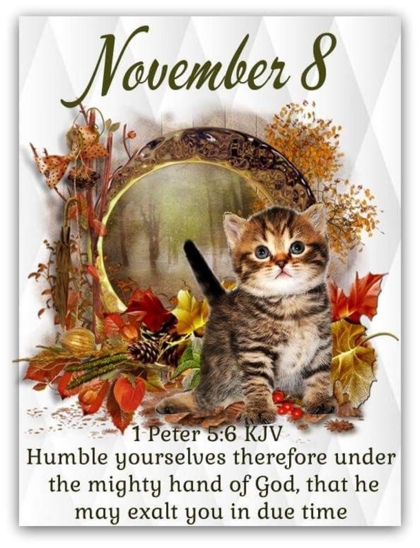 Words to Remember: Best November 8 Quotes, Images And Blessings For The Day - picture 4