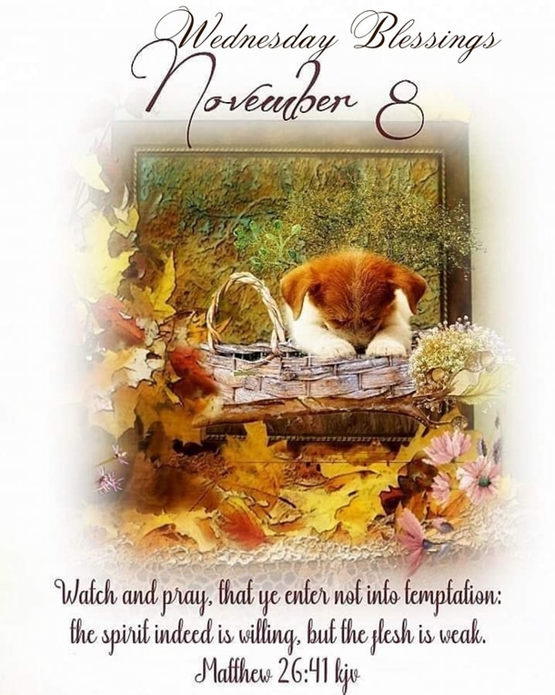 Words to Remember: Best November 8 Quotes, Images And Blessings For The Day - picture 6
