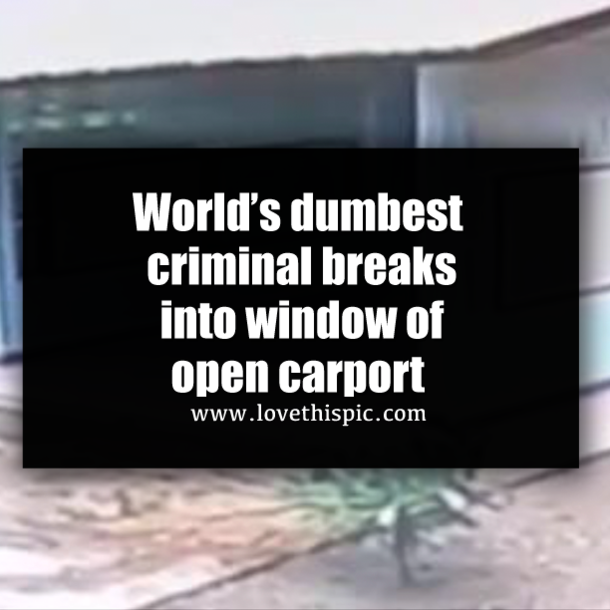 World’s dumbest criminal breaks into window of open carport