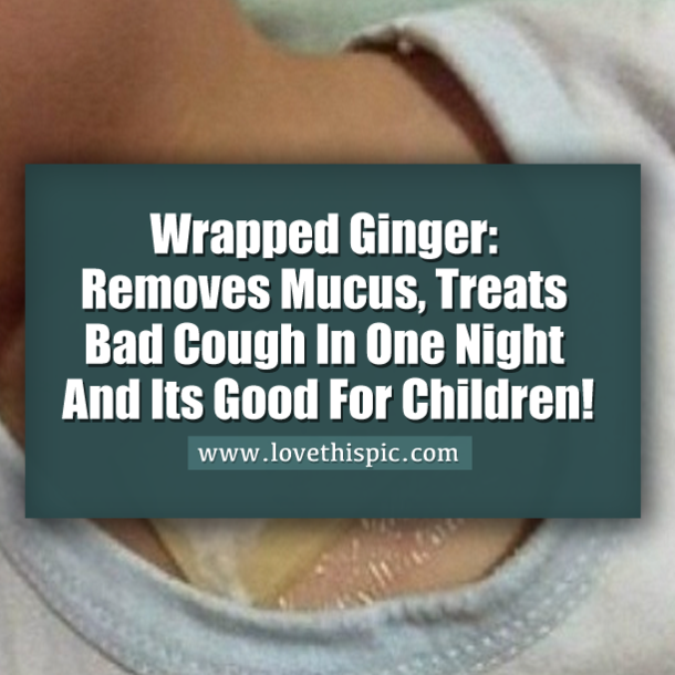 Wrapped Ginger – Treats Bad Cough And Removes Mucus From The Lungs in One Night!