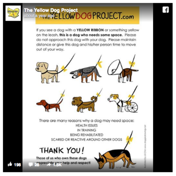 Yellow Ribbons Are Being Tied On Dog Leashes...If You See This, Here's What You Should Do - picture 3