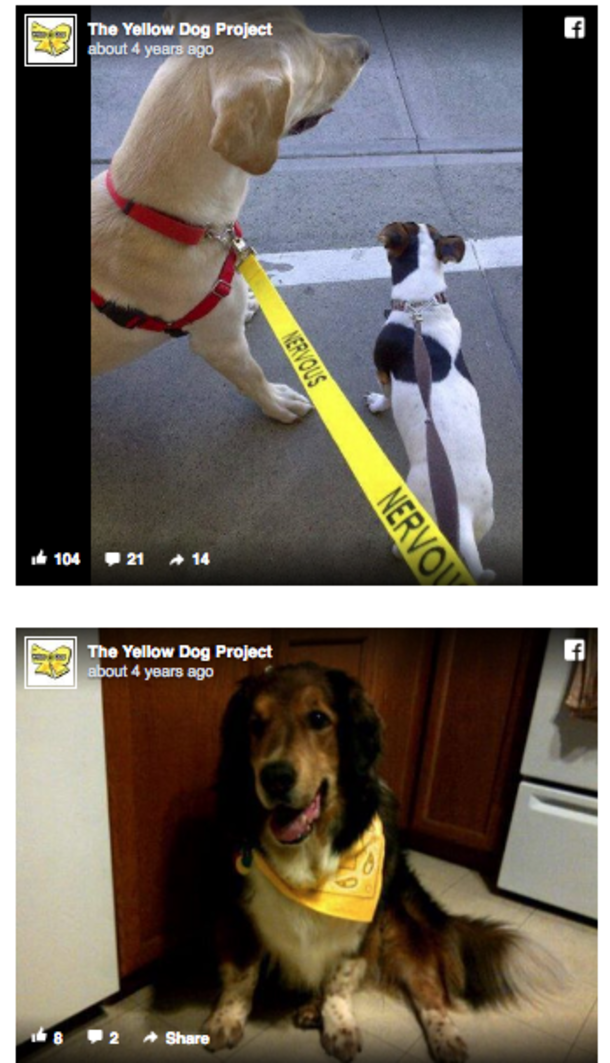 Yellow Ribbons Are Being Tied On Dog Leashes...If You See This, Here's What You Should Do - picture 7