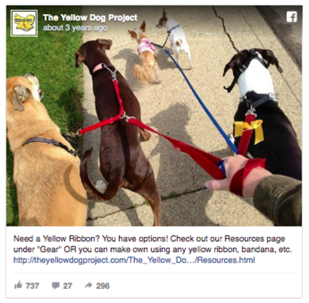Yellow Ribbons Are Being Tied On Dog Leashes...If You See This, Here's What You Should Do - picture 9