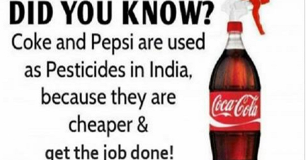 You Can Actually Use Coca Cola And Pepsi As A Pesticide, So Why Are We Still Drinking This Stuff?! - picture 2