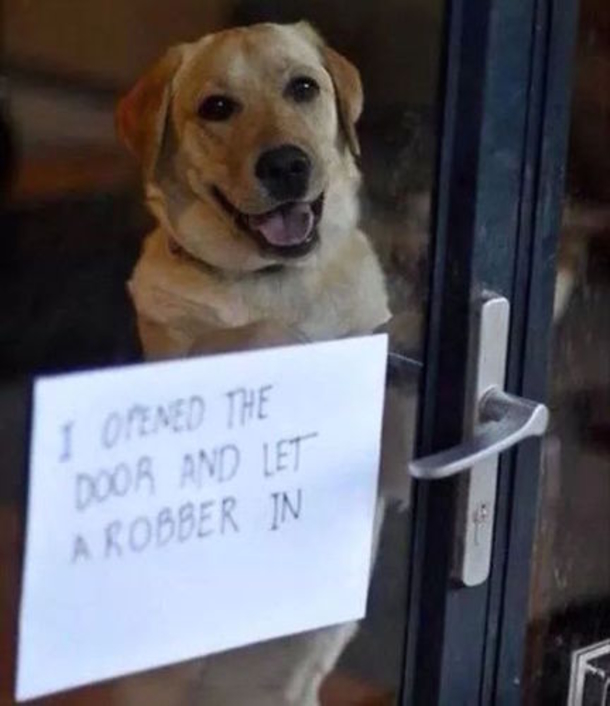 You Had One Job To Do: 16 Shocking Fails From Those Who Couldn't Get The Job Done Right - picture 3