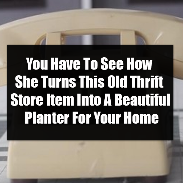 You Have To See How She Turns This Old Thrift Store Item Into A Beautiful Planter For Your Home