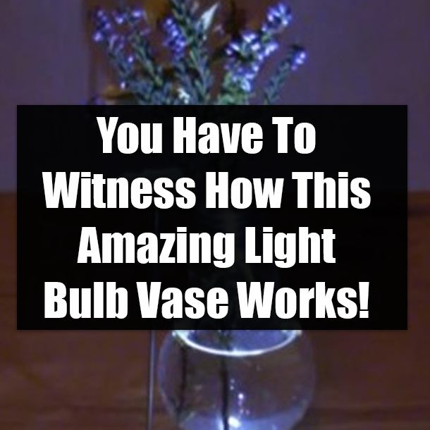 You Have To Witness How This Amazing Light Bulb Vase Works!