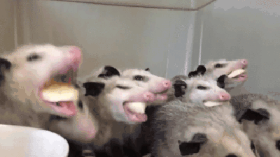 You Might Be Suffering From This Very Rare Disorder If You Hate The Sound Of Chewing - picture 5