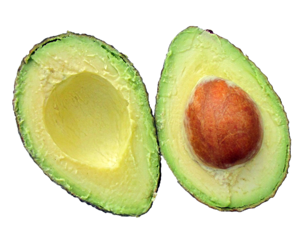 You Will Never Throw Another Avocado Seed Away When You Learn What It Can Do - picture 7