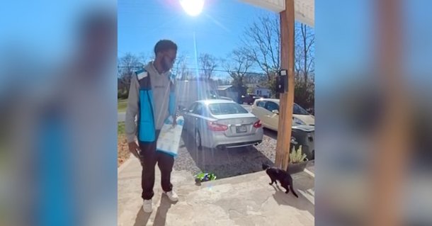 You Won't Believe How This Cat Greeted an Amazon Driver - Their "Hello" Will Melt Your Heart! - picture 2