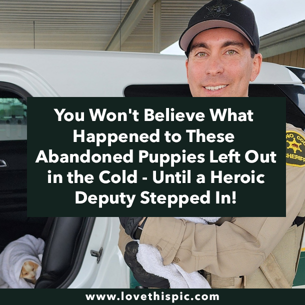 You Won't Believe What Happened to These Abandoned Puppies Left Out in the Cold - Until a Heroic Deputy Stepped In!