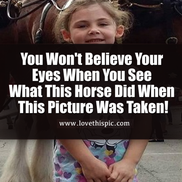 You Won't Believe Your Eyes When You See What This Horse Did When This Picture Was Taken!