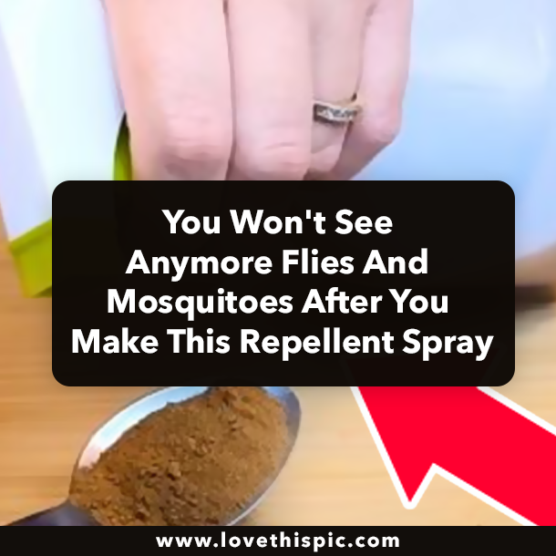 You Won't See Anymore Flies And Mosquitoes After You Make This Repellent Spray