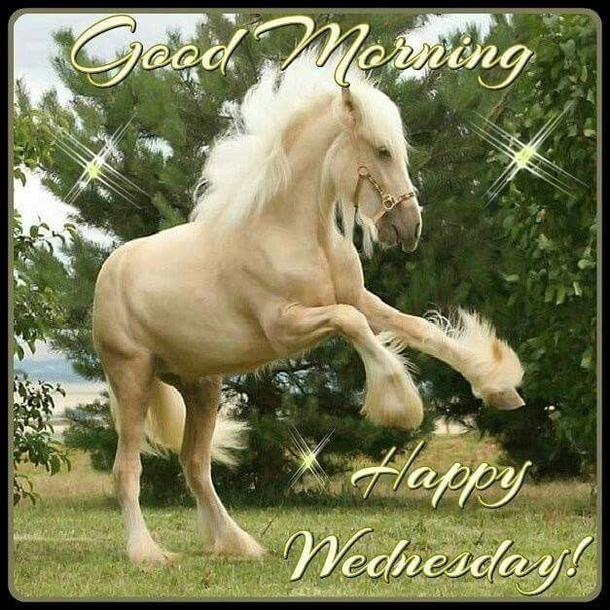 You're Going To Be Inspired By These 10 Wednesday Quotes & Blessings - picture 10