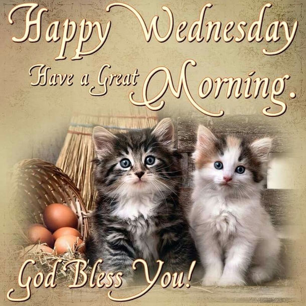 You're Going To Be Inspired By These 10 Wednesday Quotes & Blessings - picture 9