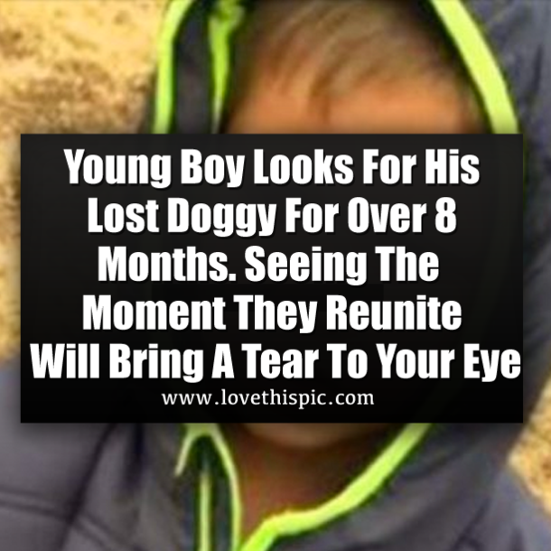 Young Boy Looks For His Lost Doggy For Over 8 Months. Seeing The Moment They Reunite Will Bring A Tear To Your Eye