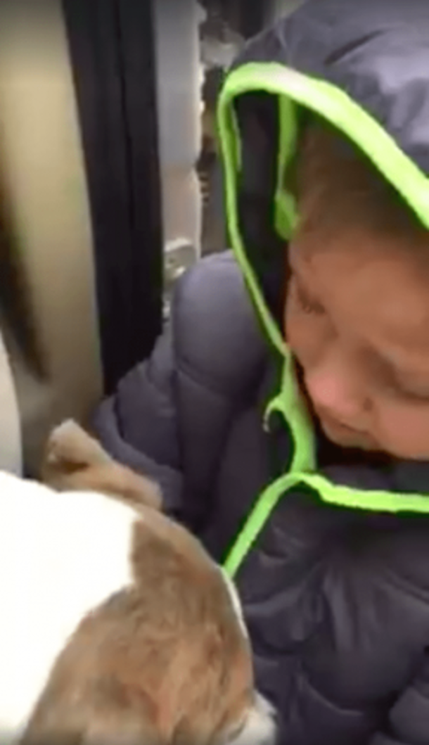 Young Boy Looks For His Lost Doggy For Over 8 Months. Seeing The Moment They Reunite Will Bring A Tear To Your Eye - picture 3