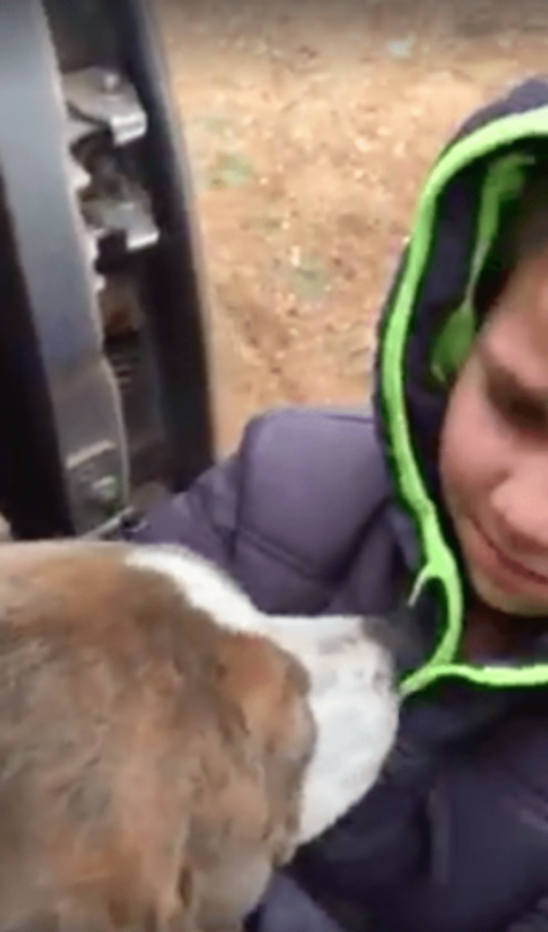 Young Boy Looks For His Lost Doggy For Over 8 Months. Seeing The Moment They Reunite Will Bring A Tear To Your Eye - picture 4