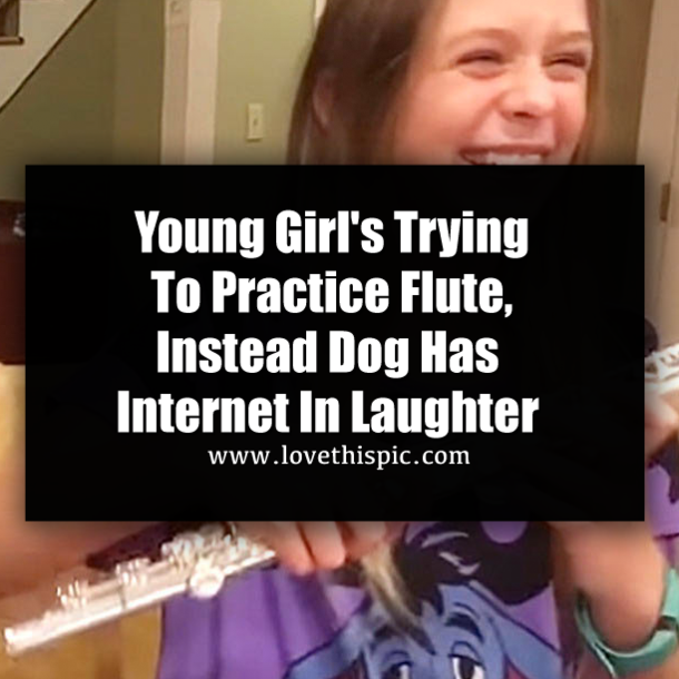Young Girl's Trying To Practice Flute, Instead Dog Has Internet In Laughter