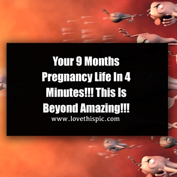 Your 9 Months Pregnancy Life In 4 Minutes!!! This Is Beyond Amazing!!!