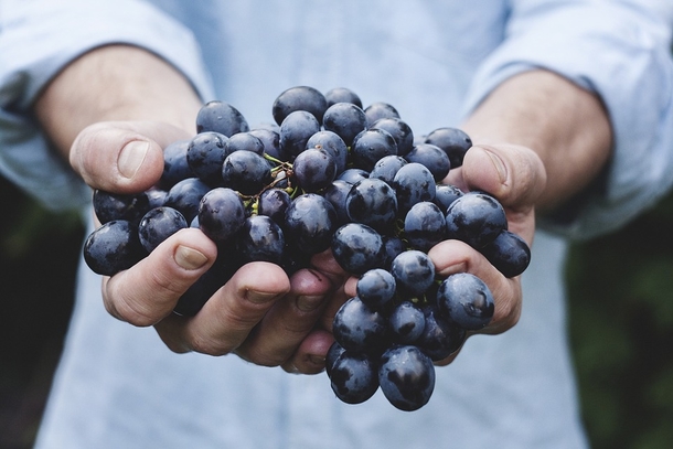 Your Child Could Possibly Choke On These 9 Foods More Than Any Other Foods - picture 2