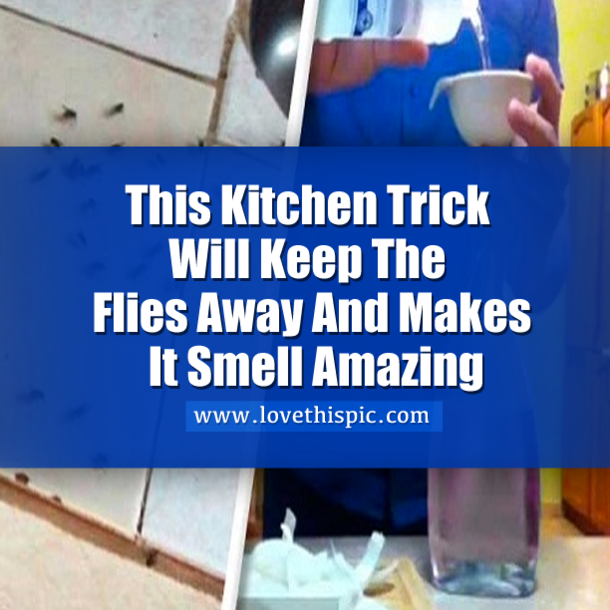 Your Kitchen Will Smell Amazing And Keep Flies Away, With THIS Simple Trick...