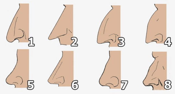 Your Nose Says Alot About Your Personality, Read What Your Nose Says About Yours! - picture 2